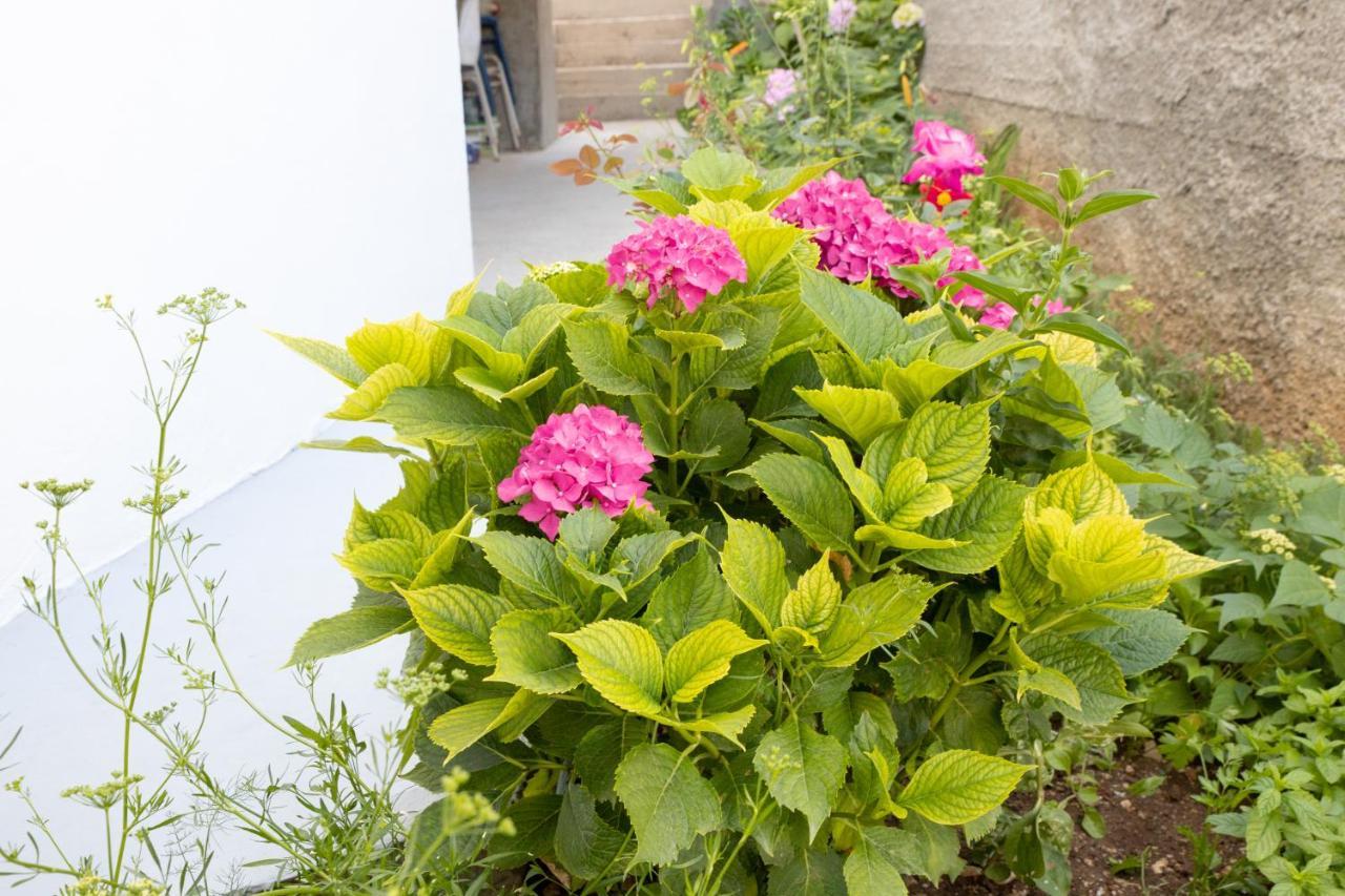 זאוסטרוג Apartments Latkovic מראה חיצוני תמונה