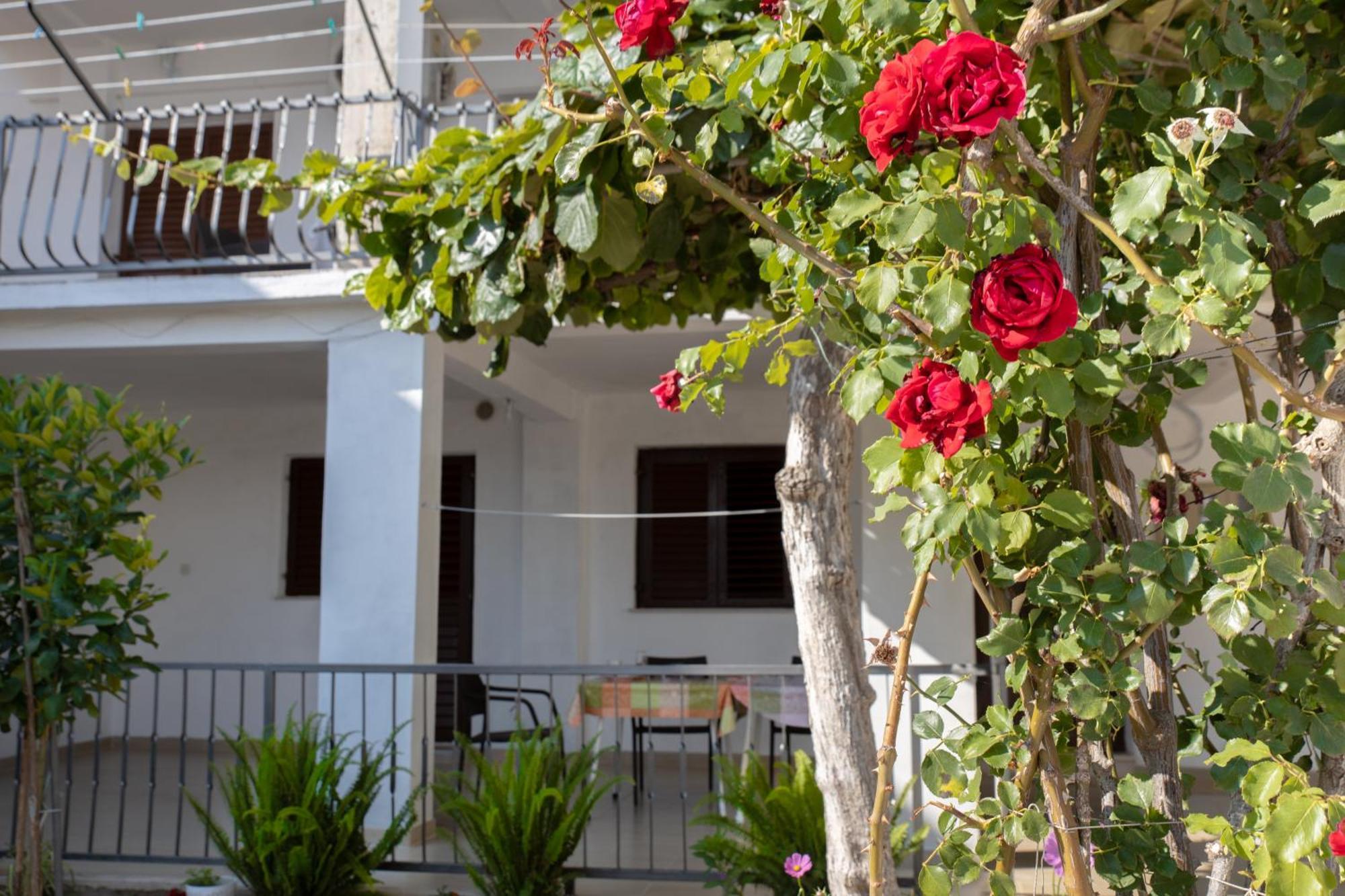 זאוסטרוג Apartments Latkovic מראה חיצוני תמונה